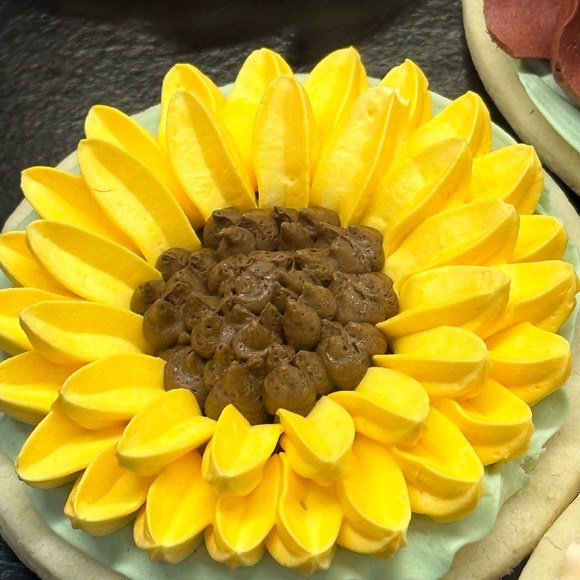 Nice Meeting You - Picture 5 of 6